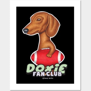 Cute Brown Doxie dog Holding red Football Posters and Art